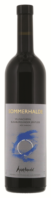 Sommerhalde Spätlese BB, Fassausbau
'VINATURA' Weinbau Hartmann, Remigen