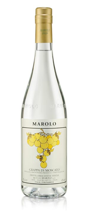 Grappa di Moscato
Marolo