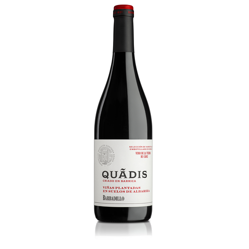 Tinto Quadis envejecido 
Bodega Barbadillo