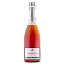 Champagne Gabriel-Pagin Fils 
Rosé Brut, Premier Cru
